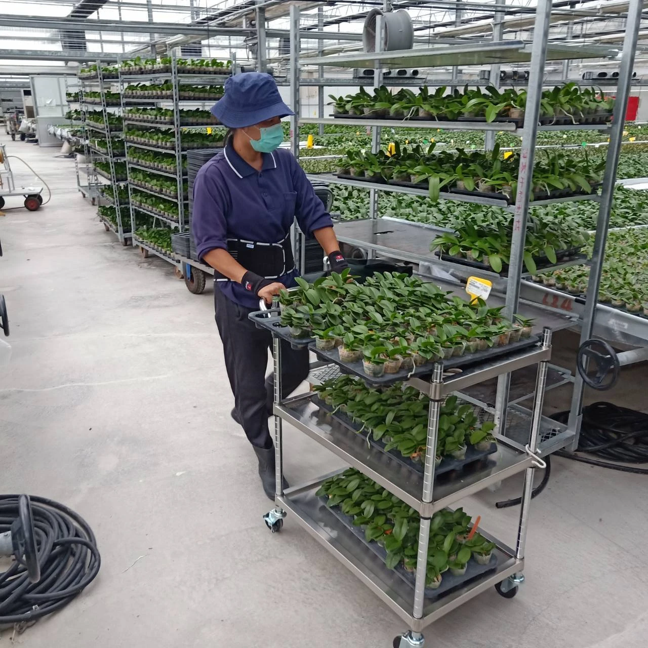 THÔNG TIN THỊ TRƯỜNG XUẤT KHẨU LAO ĐỘNG